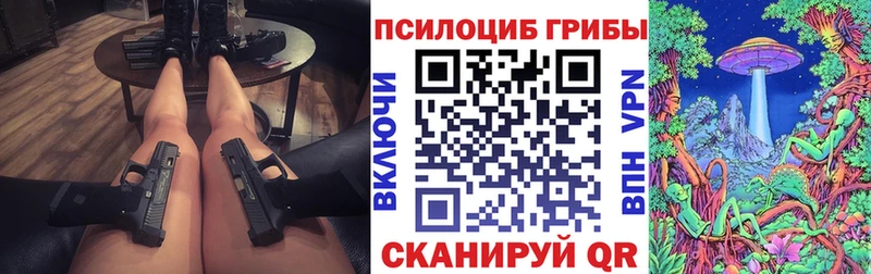 где найти   Серов  Псилоцибиновые грибы Psilocybine cubensis 