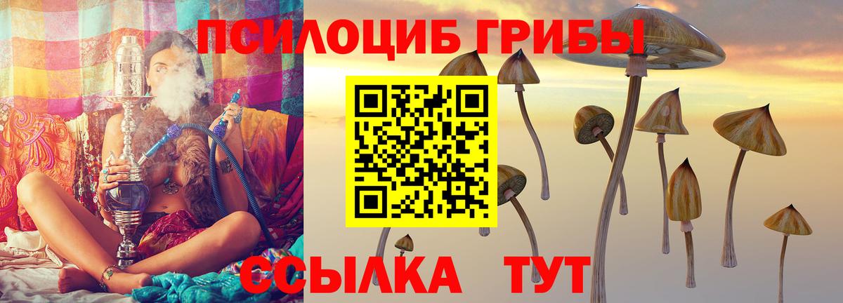 Псилоцибиновые грибы мицелий Серов
